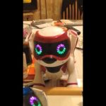 Robotic Dog that Demonstrates Emotions